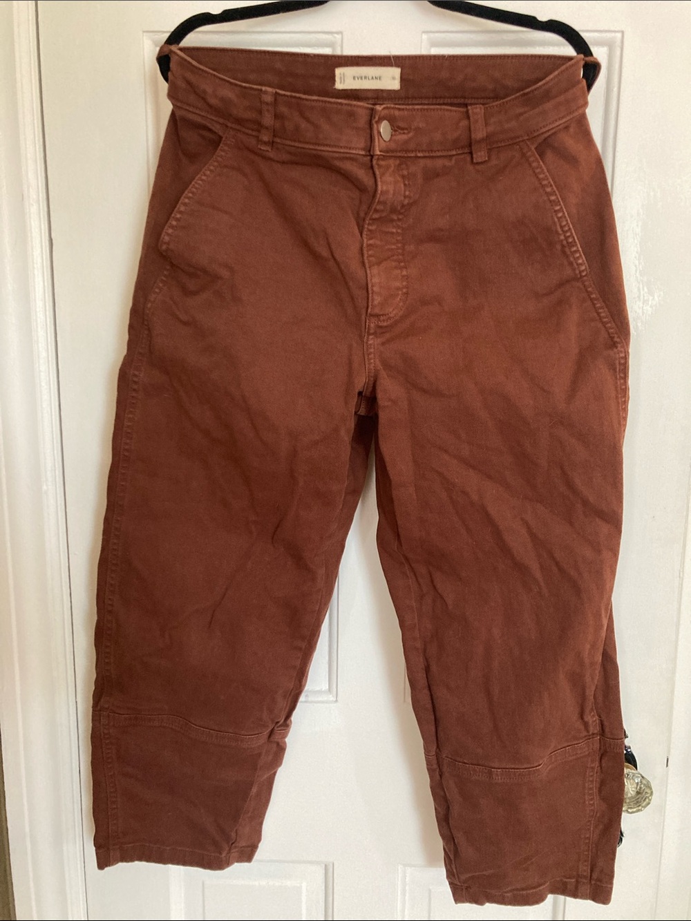 Everlane Rust Brown Utility barrel leg pants